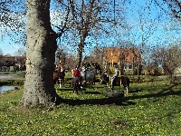 Reiten im Hofgarten